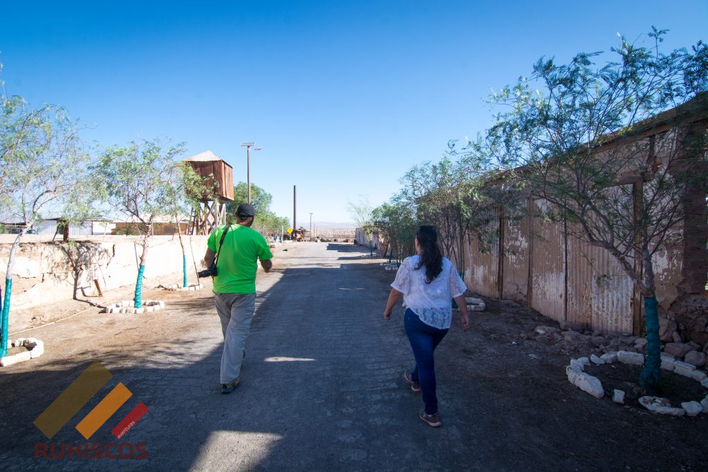 Paseo en el norte de Chile